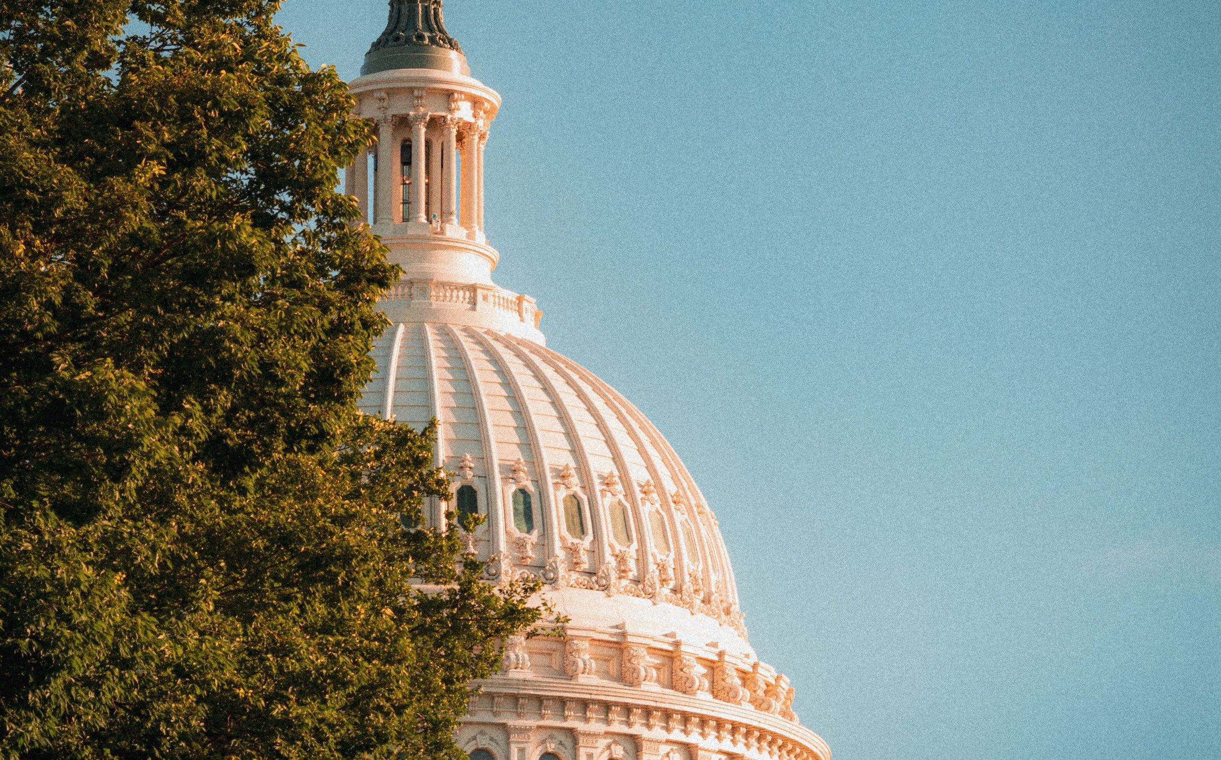 A domed government building's dome and cupola, seen through tree branches at golden hour.